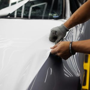 pexels-autorecords-10126663