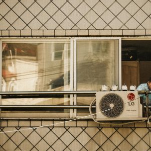 pexels-muneeb-babar-1300535-19741052